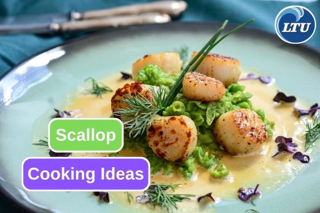 5 Ways to Put in Scallop in Various Dish 